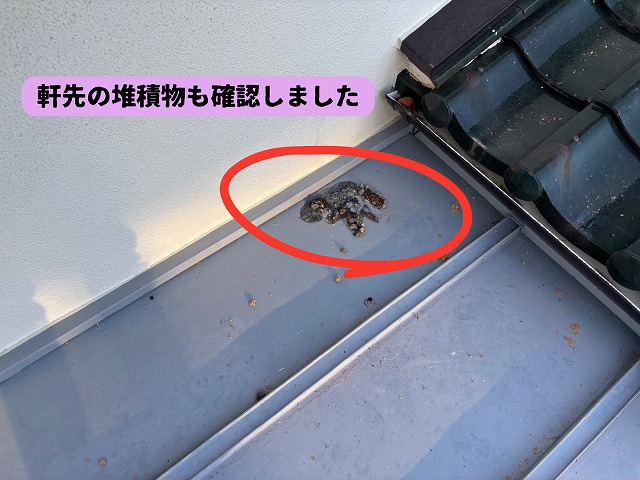 美濃加茂市で軒先に堆積した土や汚れを確認した瓦屋根