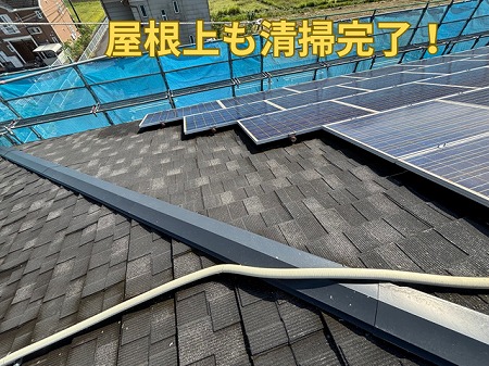 可児市にて屋根上の糞害の清掃後の様子