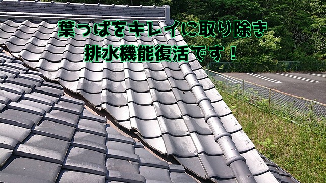 多治見市長瀬町 谷部に溜まっていた葉っぱをキレイに除去！排水機能復活です