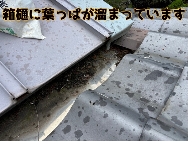 各務原市三ツ池町 屋根の箱樋に葉っぱが溜まっており、排水に影響を及ぼしていました