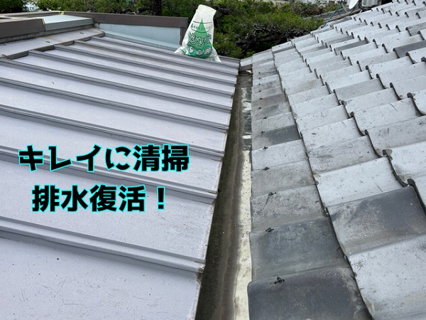 各務原市三ツ池町 箱樋に溜まっていた葉っぱをキレイに撤去！排水機能が復活しました！