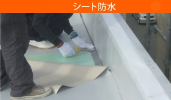 シート防水