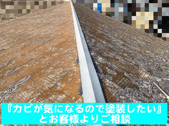 小山市　化粧スレート屋根調査　撥水性が無くなった屋根の写真