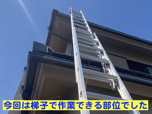 真岡市 雨樋詰まりの原因はPマス 梯子設置後の写真