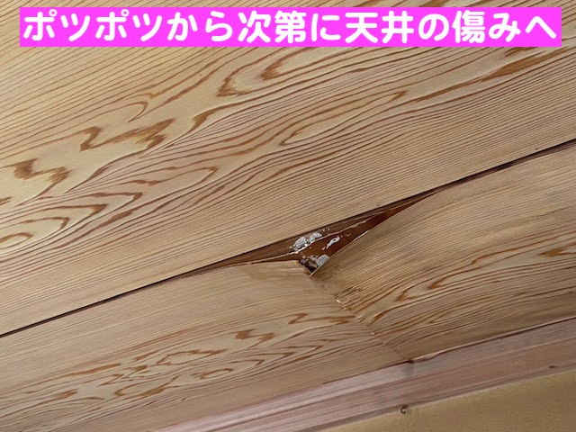 真岡市 瓦屋根の雨漏りを調査 天井の雨漏りの写真