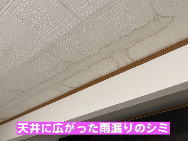 真岡市　散水調査で雨漏り原因を特定　雨漏りのシミの写真