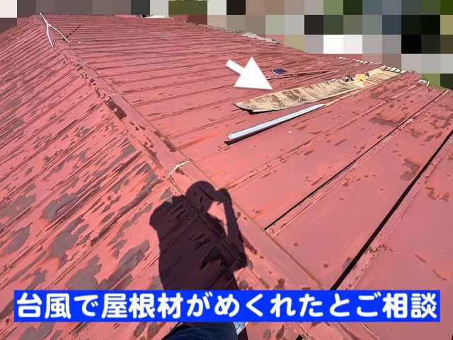 小山市　台風でめくれた瓦棒屋根調査　屋根全景の写真