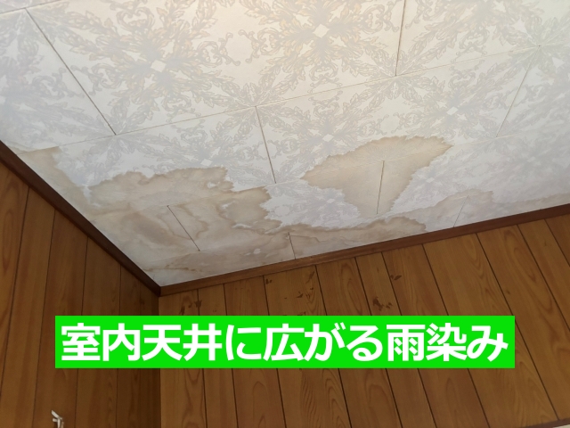 室内天井に広がる雨染み