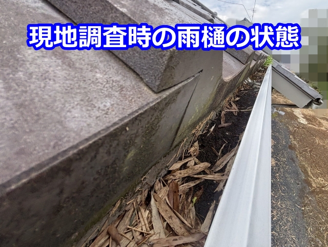 現地調査時の雨樋の状態