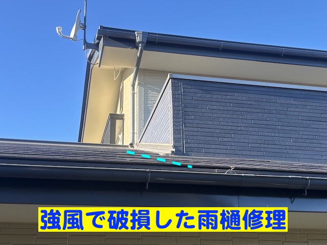 強風で破損した下屋根に這う雨樋