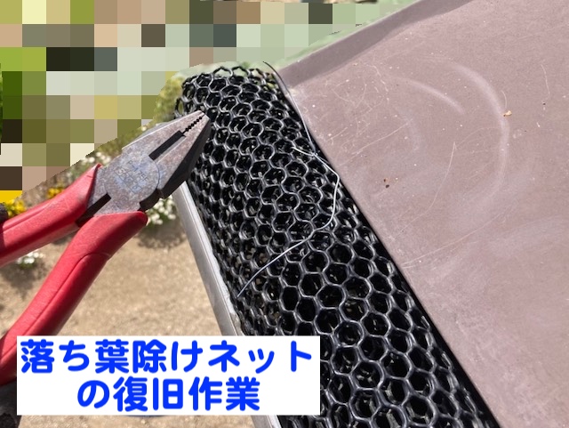 真岡市　落ち葉で詰まった雨どいを清掃　落ち葉除けネット復旧作業の写真