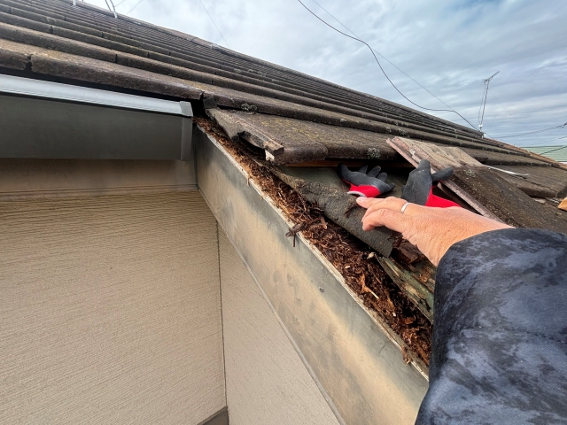 屋根からの雨漏りで腐食した野地板