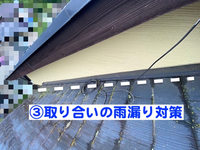 下野市　築30年の屋根を調査　カビが繁茂し棟違い部の写真