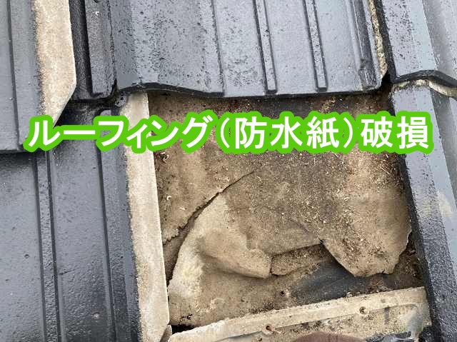 ルーフィングに亀裂が入っている