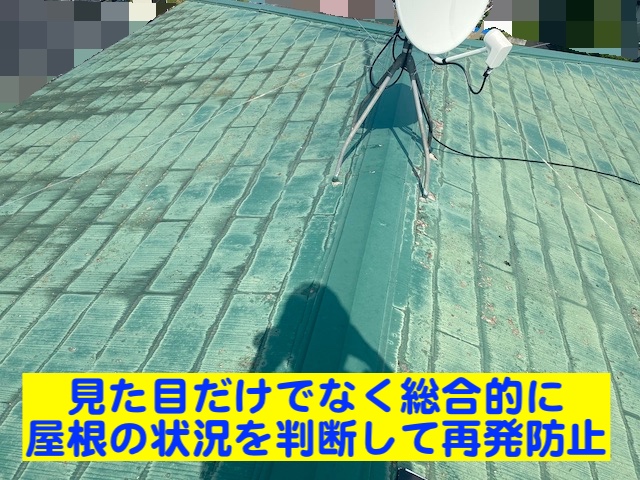 下野市　築40年のカラーベスト屋根で雨漏り　屋根調査の写真