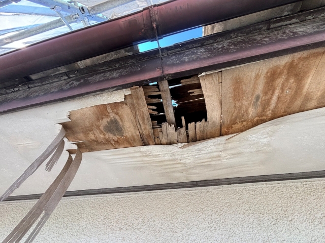 軒天破損には原因究明が必要