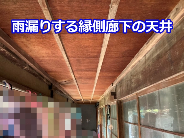 縁側天井は広範囲にシミが広がり、長期間の漏水が疑われる状態