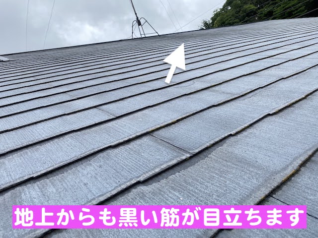 下野市　築30年の屋根を調査　地上から見たスレート屋根の写真