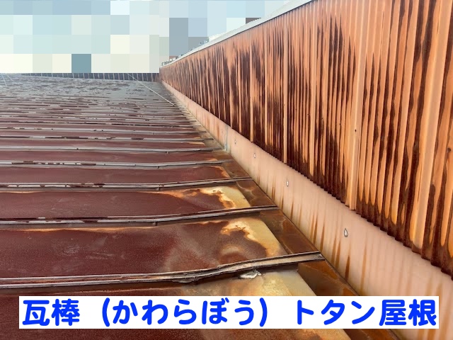 小山市　築35年のアパート屋根を調査　サビが広がった瓦棒トタン屋根の写真