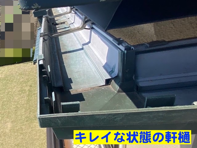 真岡市　雨樋詰まりの原因はＰマス　詰まりのない集水器の写真