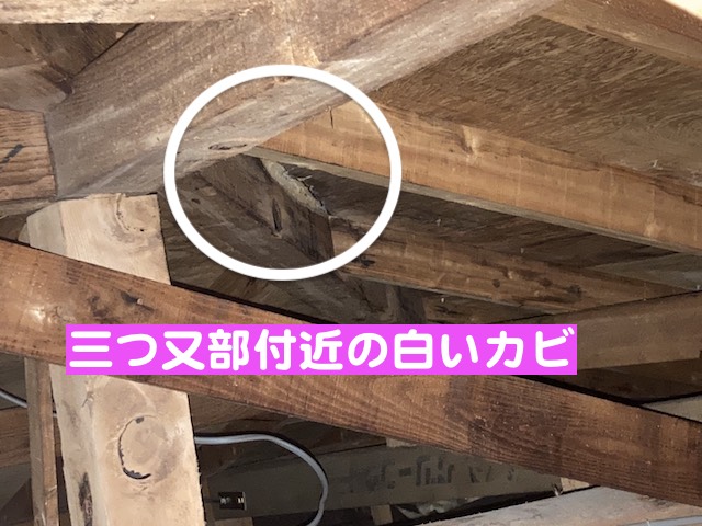 下野市　築40年のカラーベスト屋根で雨漏り　天井裏の雨漏りの写真