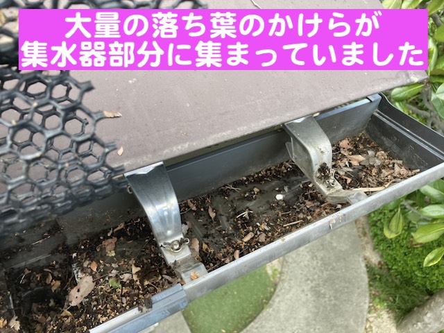 真岡市　落ち葉で詰まった雨どいを清掃　小さな落ち葉が詰まった写真