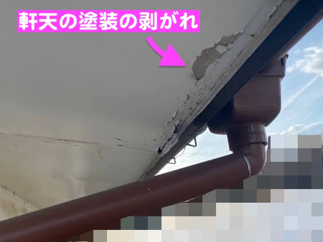 下野市　雨樋・軒天・破風板の傷み　軒天の塗装の剥がれの写真