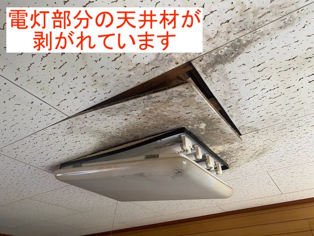 雨漏り内部の建材が腐った影響で剥がれかけた電灯部分の天井材