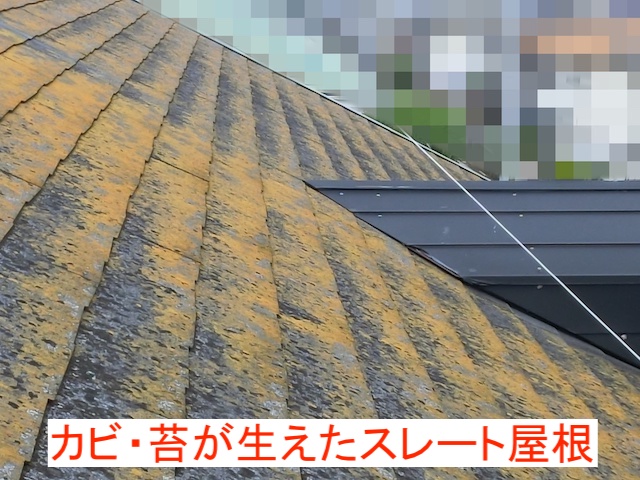 カビや藻がビッシリ生えた化粧スレート屋根