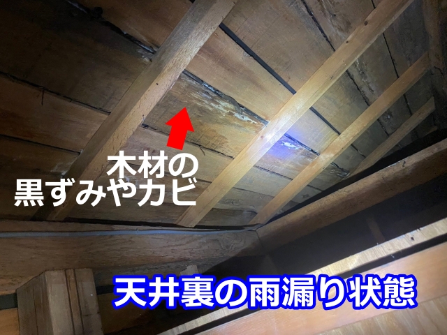 天井裏の雨漏り状態