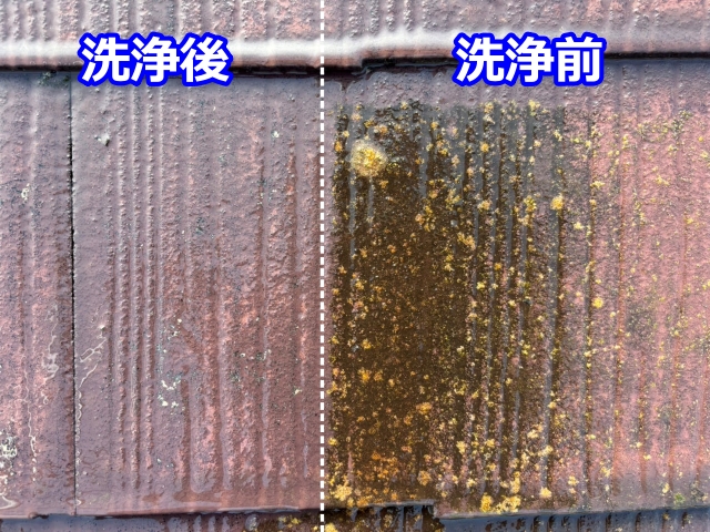 洗浄前と洗浄後の違い【左；洗浄後 右；洗浄前】