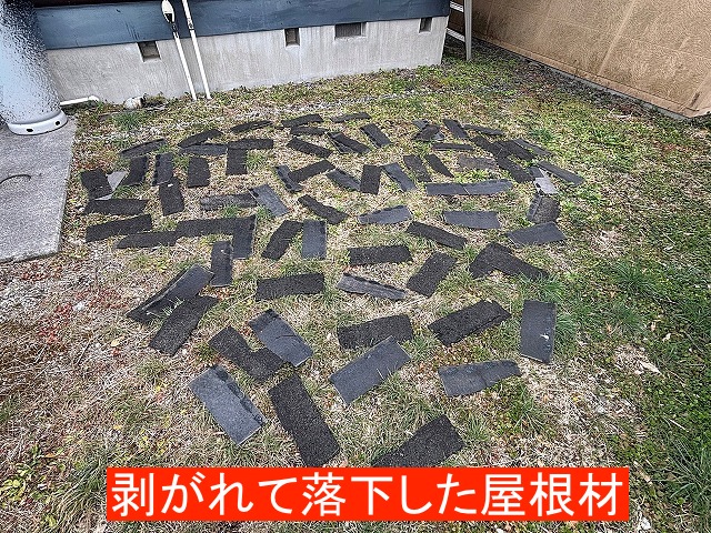 強風で剥がれて落下したアスファルトシングル