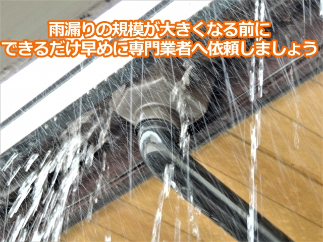 雨漏りの規模が大きくなる前に できるだけ早めに専門業者へ依頼しましょう