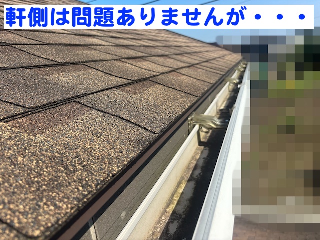 栃木市　強風によりアスファルトシングル飛散　屋根の写真