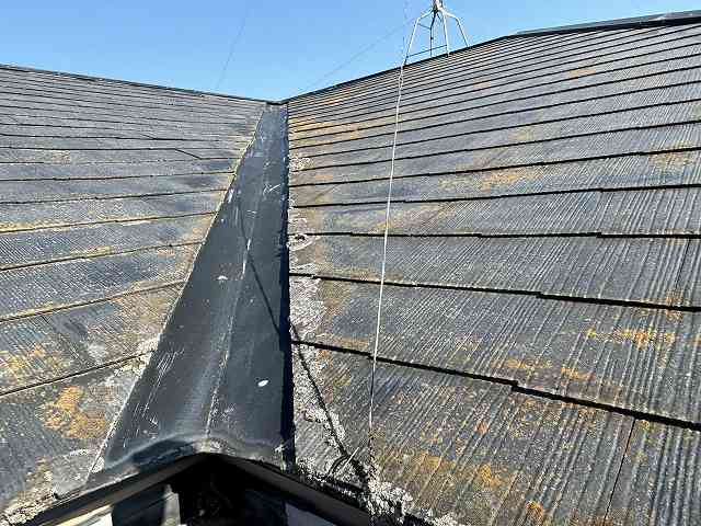 全体的にカビが発生している下野市のコロニアルスレート