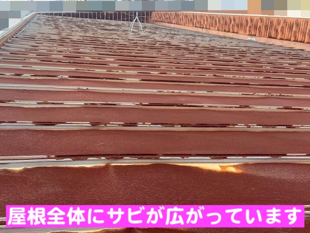 小山市　築35年のアパート屋根を調査　サビが広がった瓦棒トタン屋根の写真