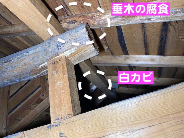 真岡市　瓦屋根の雨漏りを調査　雨漏りの入り口の写真