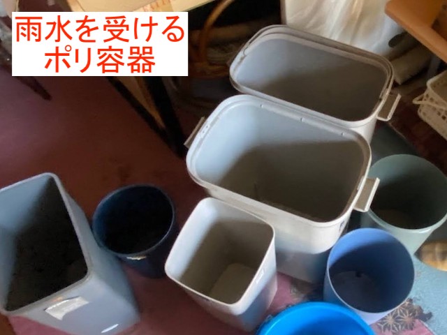 雨水を受けるために床に置かれたポリ容器