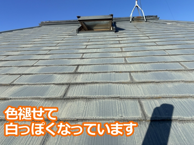 色褪せて白っぽくなっています