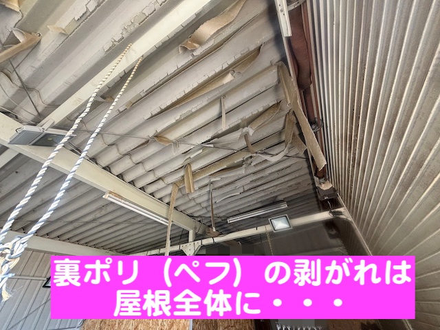 ぺフの剥がれが全体に広がったガレージの折板屋根