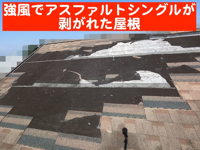 強風で何枚ものアスファルトシングルが飛散した栃木市の屋根