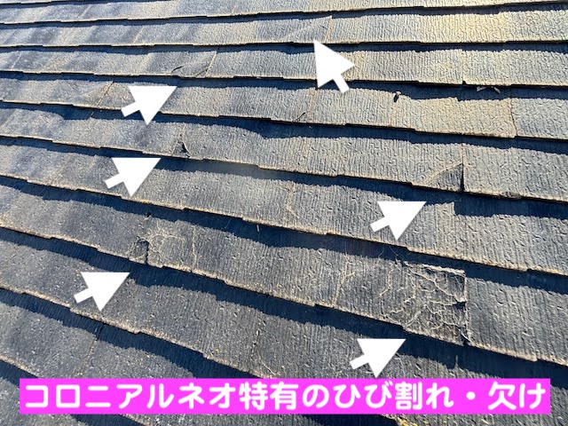 栃木市　コロニアルネオ屋根の雨漏り相談　破損した屋根材の写真