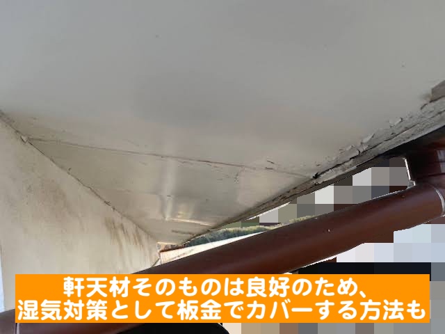 下野市　雨樋・軒天・破風板の傷み　軒天の塗装の剥がれの写真