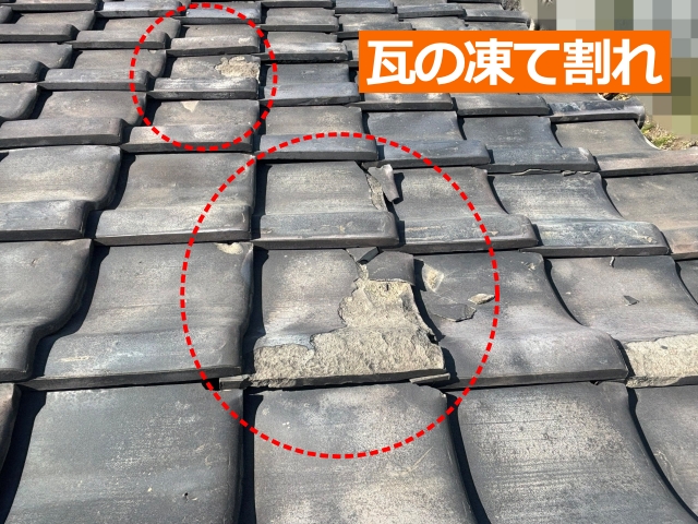 瓦の凍て割れ
