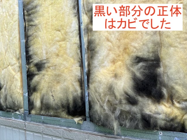外壁の断熱材の黒い部分はカビ