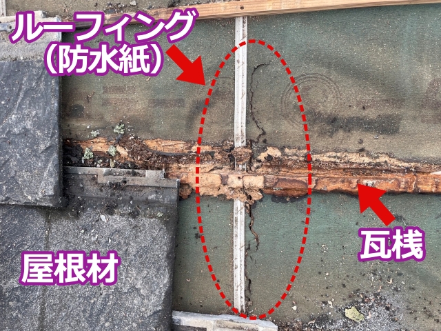 破損したルーフィングと瓦桟