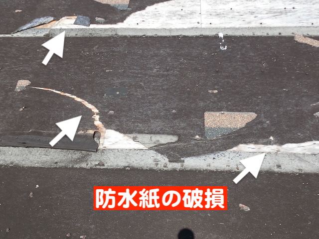 強風で飛散したアスファルトシングルの下の防水紙が破損