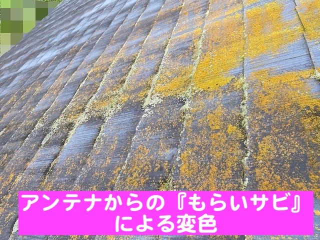 下野市　築30年の屋根を調査　カビと変色したスレート屋根の写真
