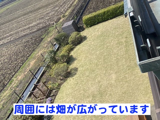 真岡市 雨樋詰まりの原因はPマス 周辺環境の写真