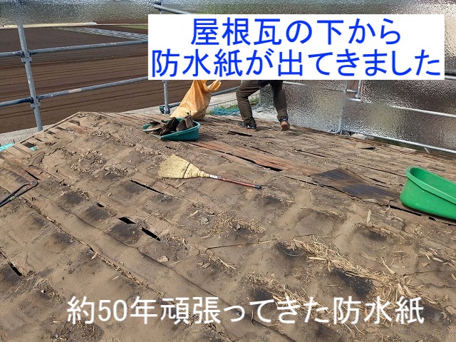 撤去したセメント瓦の下から出てきた防水紙